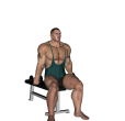 Anterior Raise - Seated Dumbbell